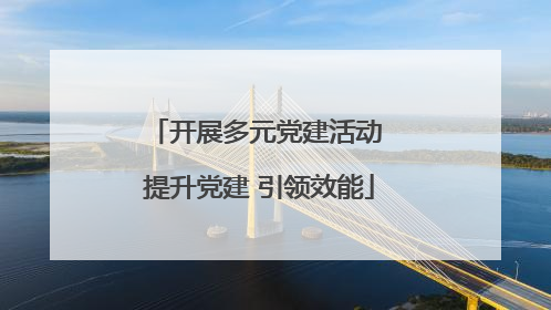 开展多元党建活动 提升党建 引领效能