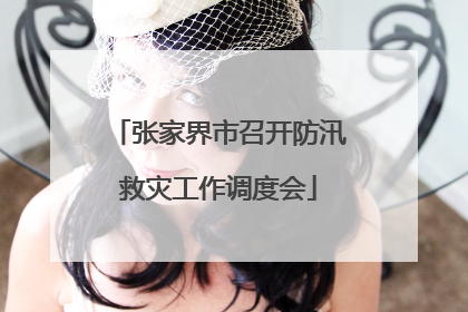 张家界市召开防汛救灾工作调度会