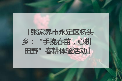 张家界市永定区桥头乡：“手挽春苗，心耕田野”春耕体验活动
