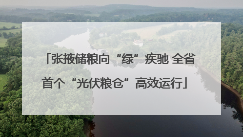 张掖储粮向“绿”疾驰 全省首个“光伏粮仓”高效运行