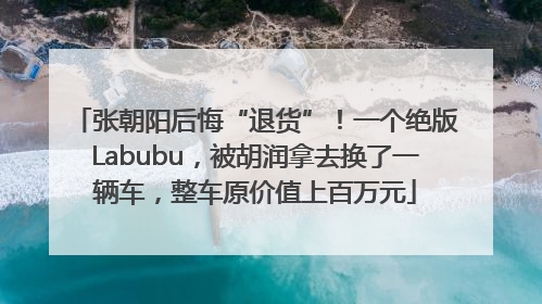 张朝阳后悔“退货”！一个绝版Labubu，被胡润拿去换了一辆车，整车原价值上百万元