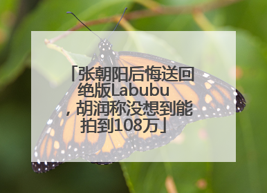 张朝阳后悔送回绝版Labubu，胡润称没想到能拍到108万