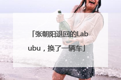 张朝阳退回的Labubu，换了一辆车