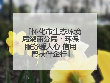 怀化市生态环境局溆浦分局：环保服务暖人心 信用帮扶伴企行