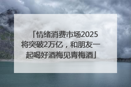 情绪消费市场2025将突破2万亿，和朋友一起喝好酒梅见青梅酒