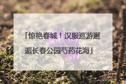 惊艳春城！汉服巡游邂逅长春公园芍药花海