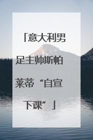 意大利男足主帅斯帕莱蒂“自宣下课”