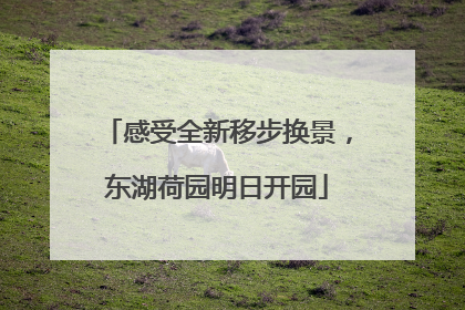 感受全新移步换景，东湖荷园明日开园