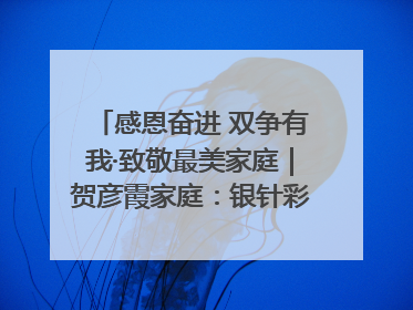 感恩奋进 双争有我·致敬最美家庭｜贺彦霞家庭：银针彩线绣出好日子