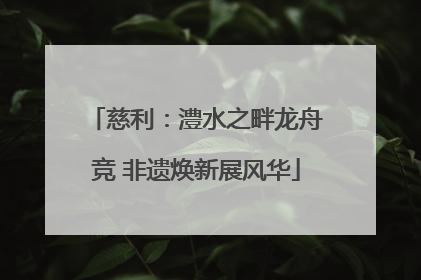 慈利：澧水之畔龙舟竞 非遗焕新展风华