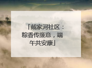 戴家河社区：粽香传廉意，端午共安康