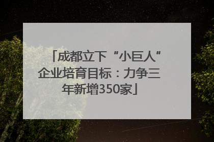 成都立下“小巨人”企业培育目标：力争三年新增350家