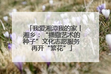 我爱湘潭我的家丨湘乡：“播撒艺术的种子”文化志愿服务再开“繁花”