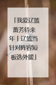 我爱辽篮 蓄芳待来年丨辽篮当针对阵容短板选外援