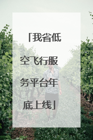 我省低空飞行服务平台年底上线