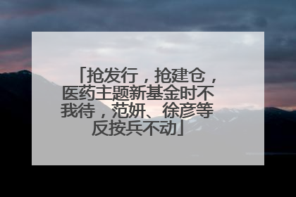 抢发行，抢建仓，医药主题新基金时不我待，范妍、徐彦等反按兵不动