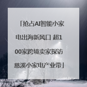 抢占AI智能小家电出海新风口 超100家跨境卖家探访慈溪小家电产业带