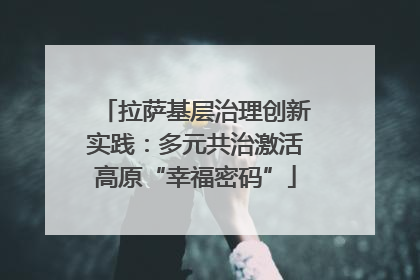 拉萨基层治理创新实践：多元共治激活高原“幸福密码”
