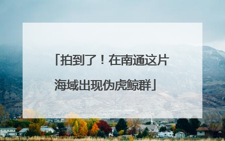 拍到了！在南通这片海域出现伪虎鲸群