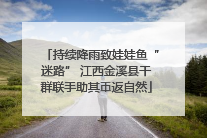 持续降雨致娃娃鱼“迷路” 江西金溪县干群联手助其重返自然