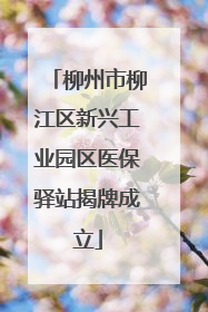 柳州市柳江区新兴工业园区医保驿站揭牌成立