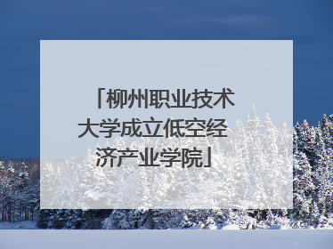 柳州职业技术大学成立低空经济产业学院