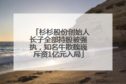 杉杉股份创始人长子全部持股被强执，知名牛散魏巍斥资1亿元入局