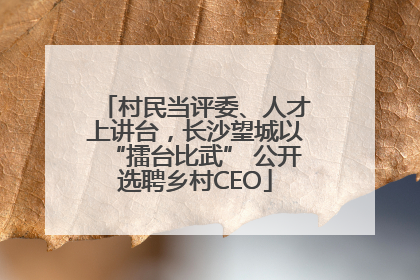 村民当评委、人才上讲台，长沙望城以“擂台比武” 公开选聘乡村CEO
