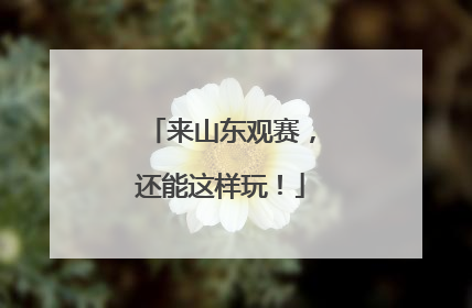 来山东观赛，还能这样玩！