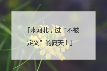 来河北，过“不被定义”的夏天！