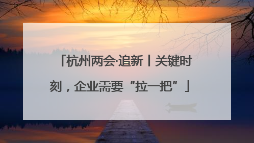 杭州两会·追新丨关键时刻，企业需要“拉一把”