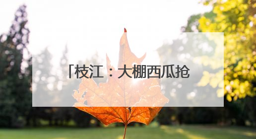 枝江：大棚西瓜抢“鲜”上市 激活乡村“甜蜜经济”