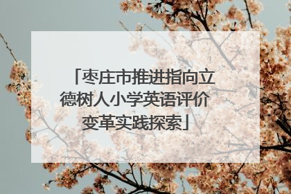 枣庄市推进指向立德树人小学英语评价变革实践探索