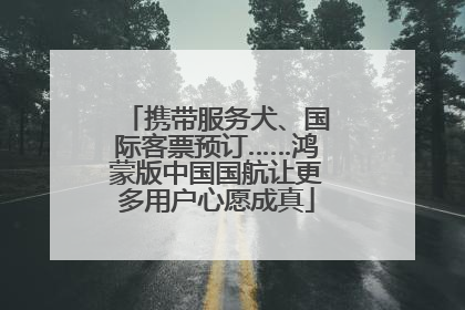 携带服务犬、国际客票预订……鸿蒙版中国国航让更多用户心愿成真