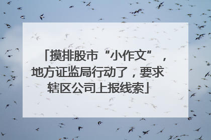 摸排股市“小作文”，地方证监局行动了，要求辖区公司上报线索