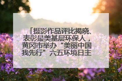 摄影作品评比揭晓、表彰最美基层环保人，黄冈市举办“美丽中国我先行”六五环境日主题宣传活动