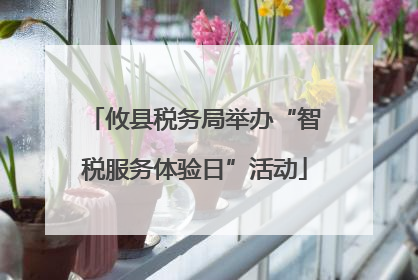 攸县税务局举办“智税服务体验日”活动