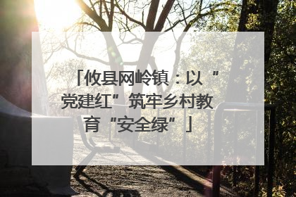 攸县网岭镇：以“党建红”筑牢乡村教育“安全绿”