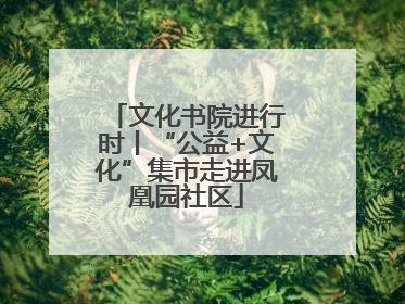 文化书院进行时丨“公益+文化”集市走进凤凰园社区