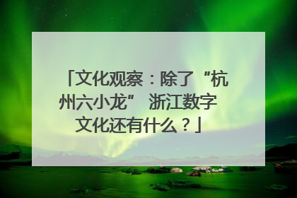 文化观察：除了“杭州六小龙” 浙江数字文化还有什么？