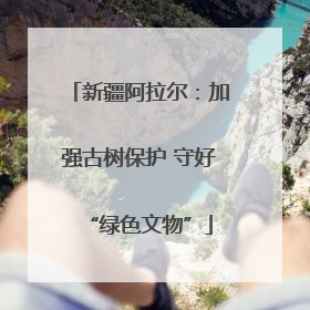 新疆阿拉尔：加强古树保护 守好“绿色文物”