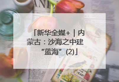 新华全媒+｜内蒙古：沙海之中建“蓝海”(2)