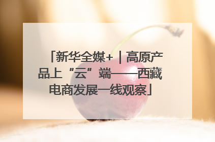 新华全媒+｜高原产品上“云”端——西藏电商发展一线观察