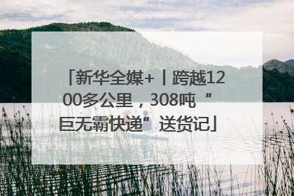 新华全媒+丨跨越1200多公里，308吨“巨无霸快递”送货记