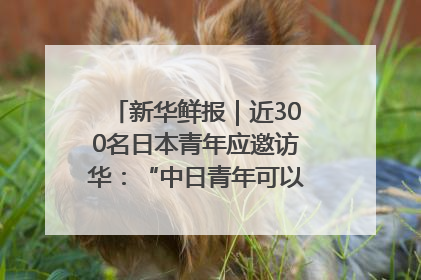 新华鲜报｜近300名日本青年应邀访华：“中日青年可以创造更好的未来”