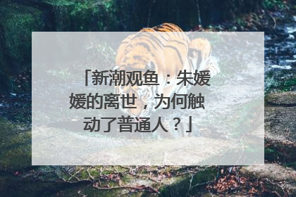 新潮观鱼：朱媛媛的离世，为何触动了普通人？