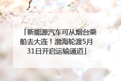 新能源汽车可从烟台乘船去大连！渤海轮渡5月31日开启运输通道