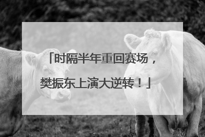 时隔半年重回赛场，樊振东上演大逆转！
