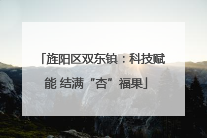 旌阳区双东镇：科技赋能 结满“杏”福果