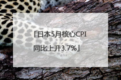 日本5月核心CPI同比上升3.7%